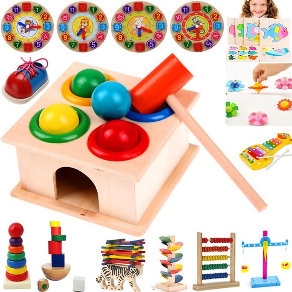 First Set Wooden Toys- Early Learning Educational Toys